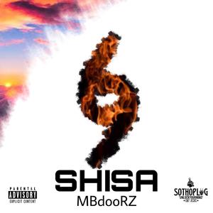 Shisa