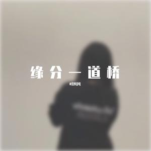 缘分一道桥 DJ版