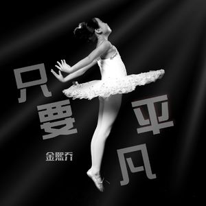 只要平凡（《我不是药神》主题曲）