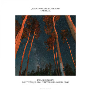 Universal (Max Foley Remix)