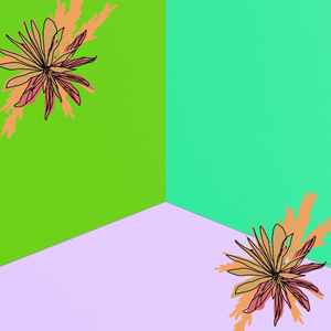 温和困倦的下午梦想