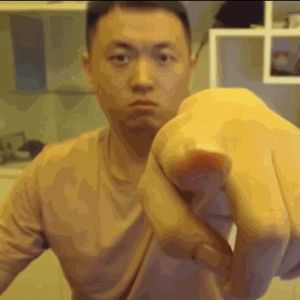 大傻X西奥X