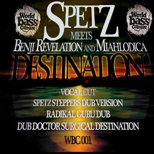 Destination (feat. Revelation Soundsystem) [Radikal Guru Dub]