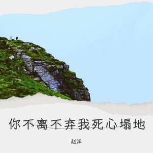 你不离不弃我死心塌地DJ