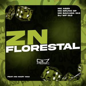 ZN Florestal