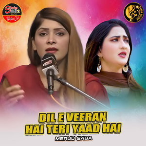 Dil E Veeran Hai Teri Yaad Hai (1)