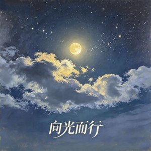 向光而行