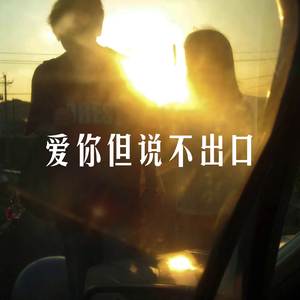 爱你但说不出口 (R&B版)