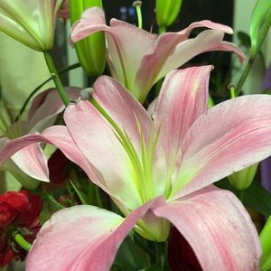 时光洪流（翻唱版本）