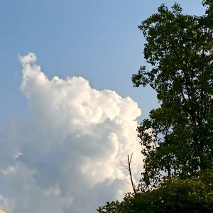 看着我的眼睛说