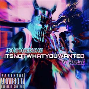 ITSNOTWHATYOUWANTED (feat. hxnoré)