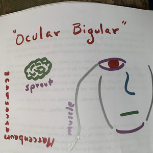 Ocular Bigular