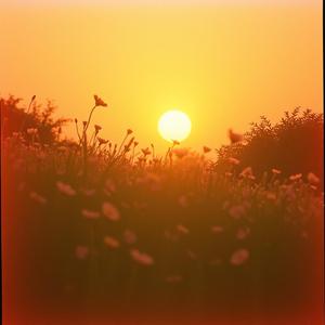 Entre Céus e Corações