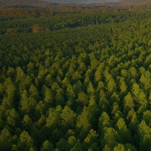 Free Beat 天方夜谭