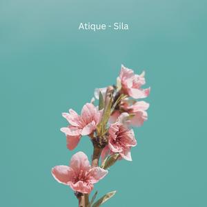 Sila