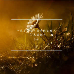 一朵小红花（亲手送你呀）DJ光波版