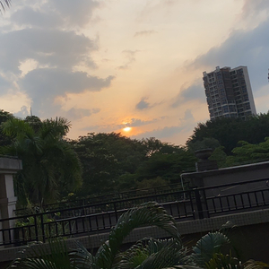 熬夜的星星