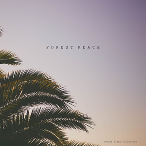 아기 고양이 신발