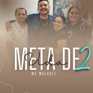 Meta de Vida 2