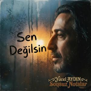 Sen Değilsin