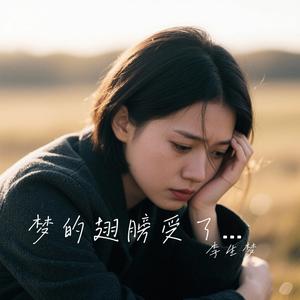 李生梦-梦的翅膀受了伤
