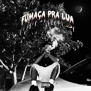 Fumaça Pra Lua