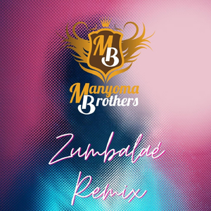 Zumbalaé (Remix)