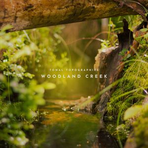 Woodland Creek