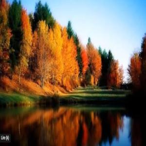 célébataire ta3jebni