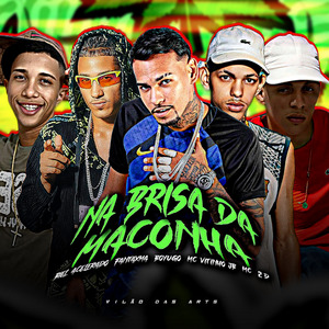 Na Brisa da Maconha (Remix)