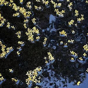 Cold Night（Prodby Jammy Beatz）