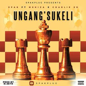 Ungang'sukeli (feat. Mshiza Mnguni & Charlie SD)