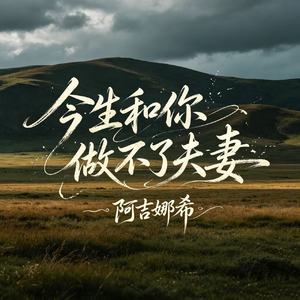 今生和你做不了夫妻