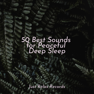 Slumber's Melodic Waltz