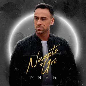Nuante De Gri