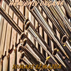 Heavenly Organs XLVI