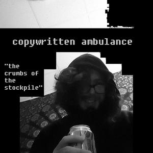 Flies Are Spies (The Wizard Is Back)