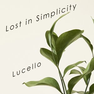 Lost In Simplicity