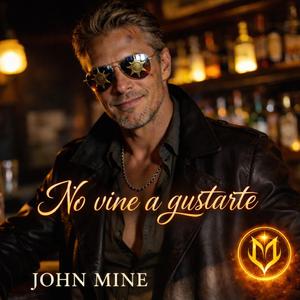 No vine a gustarte