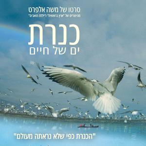 Spring in the Galilee