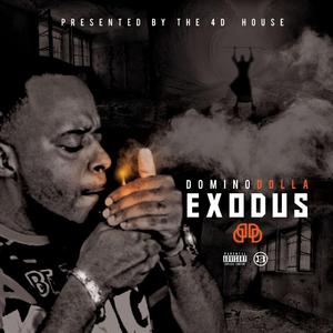 Coming Down (Rookie NoPen & Big Pokey)