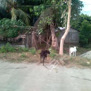 Don't Let A Man Destroy Your Friendship 2