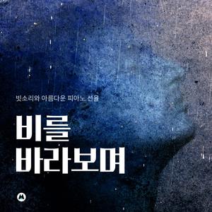 흠뻑 젖은 도심 속 새들