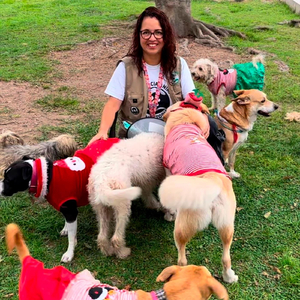 Mágica Navidad Peluda