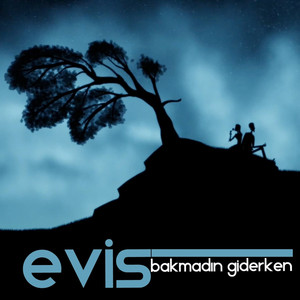 Bakmadın Giderken