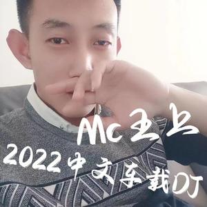 2022中文车载DJ