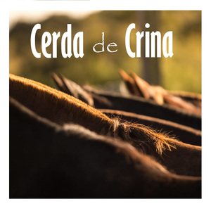Cerda de Crina