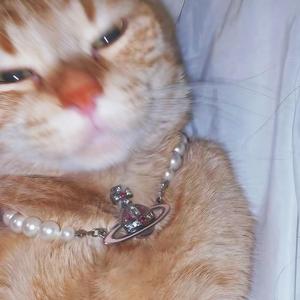 vivienne ✮⋆˙