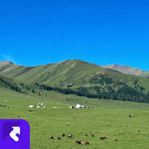 时光邮差 (现场)