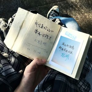 杀死那个石家庄的人